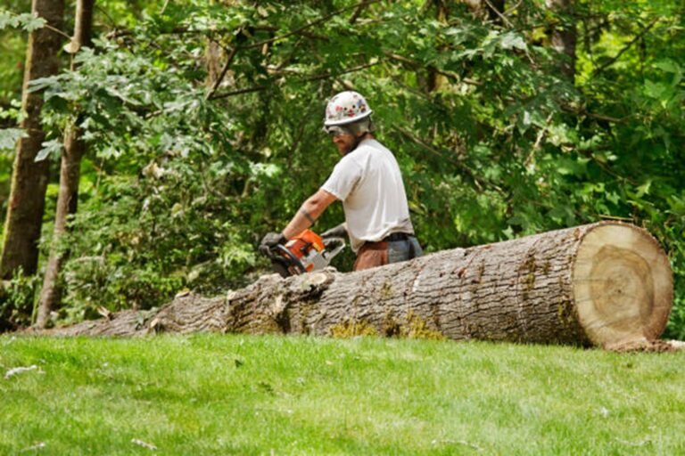 Do Tree Removal Companies in Westlake Offer Free Estimates?